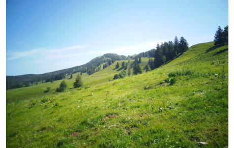 La Dôle mardi 16 juin