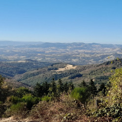Oingt mardi 22 septembre