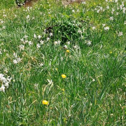 Le Poizat 25/05/2026